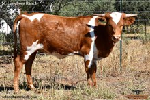 SEL WALKING ON SUNSHINE