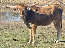 BR Keepin’ it Real