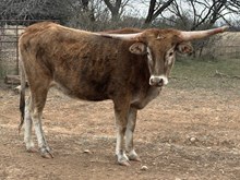 BR Keepin’ it Real