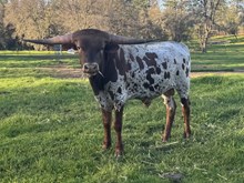 9/3/24 SHES DUNN UP BC