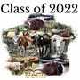 2022 Heifers