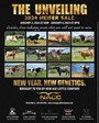“The Unveiling” 2024 Heifer Sale